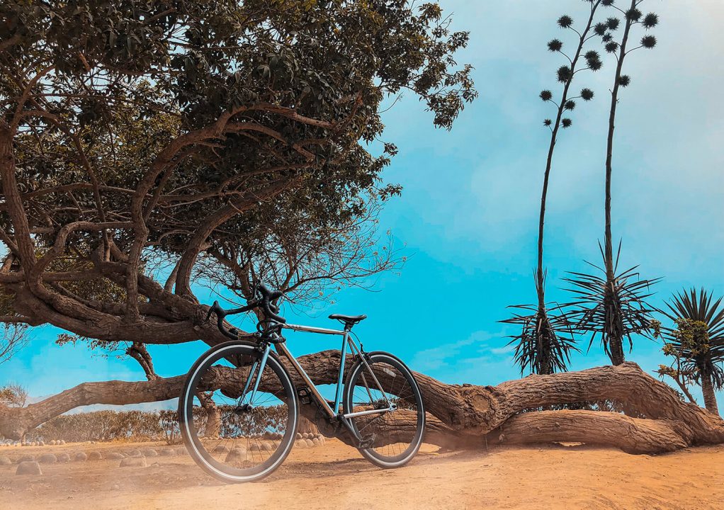 An amazing adventure in the mountain reserves.