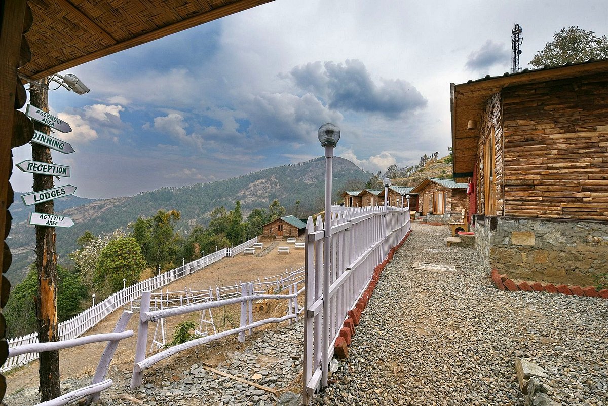 Begin your amazing adventure with Haryal360.